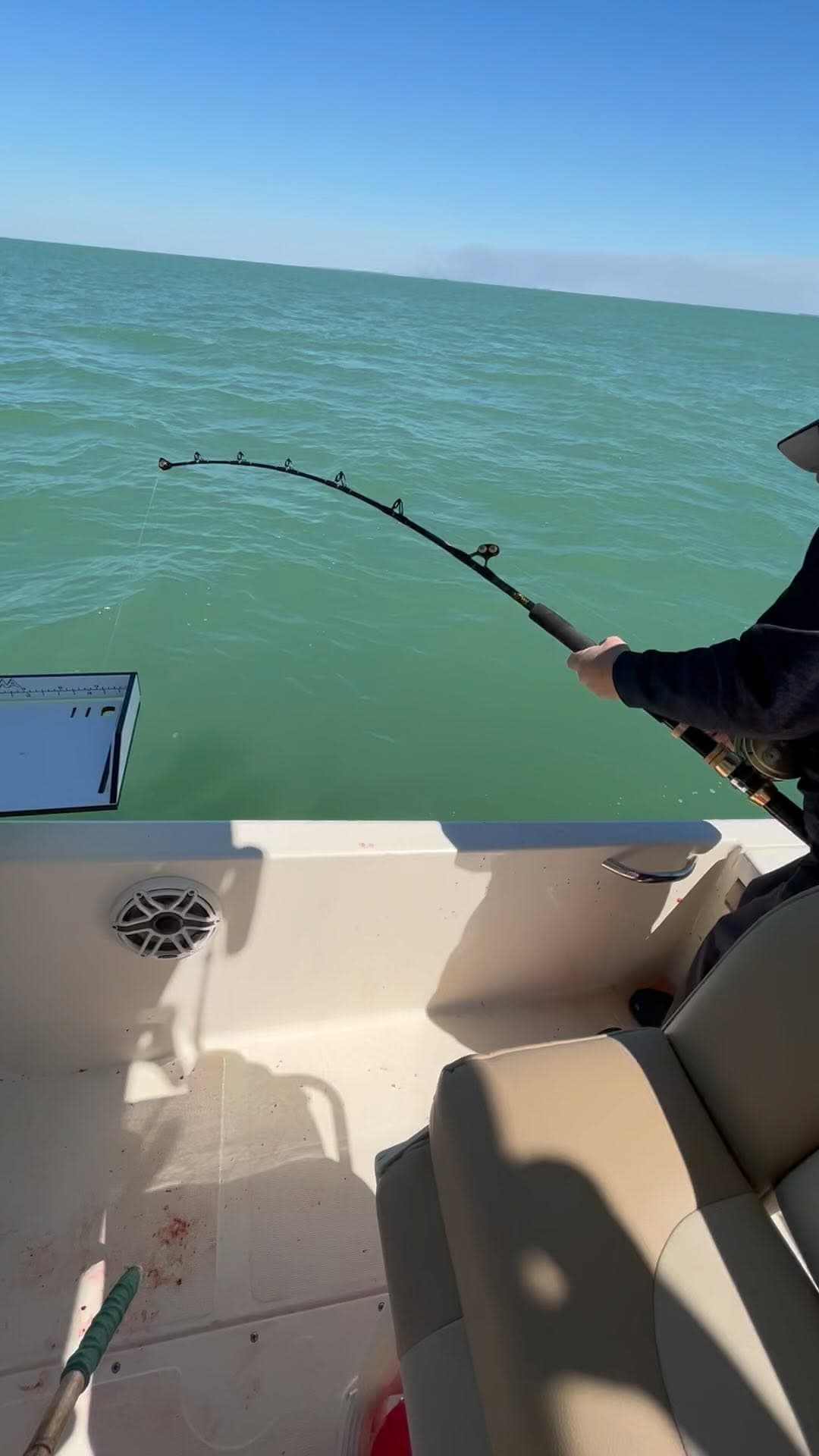 Captain for Hire